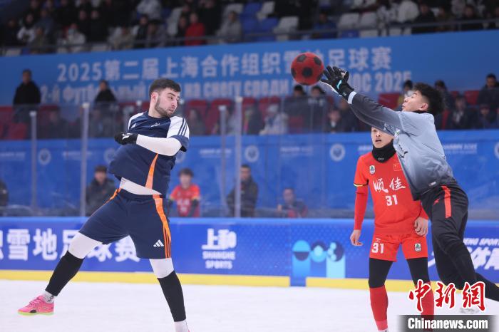 中国顺佳在上海合作组织