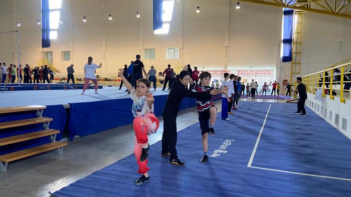 八名中国武术教师赴格鲁吉亚开展两周“一带一